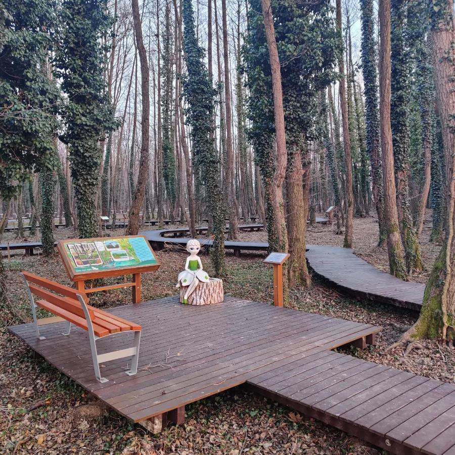 Orchidea apartman Zalakaros Exterior foto